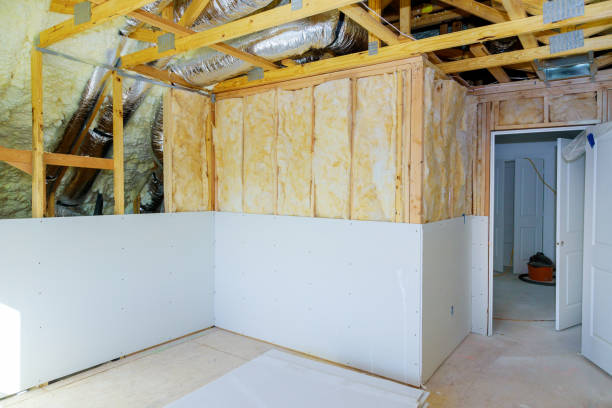 Best Cellulose Insulation  in Monroe, LA