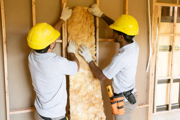 Best Local Insulation Services  in Monroe, LA