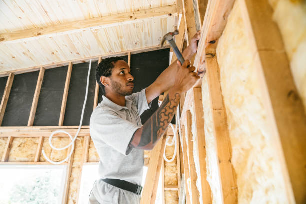 Best Crawl Space Insulation  in Monroe, LA