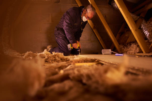 Best Commercial Insulation Contractor  in Monroe, LA